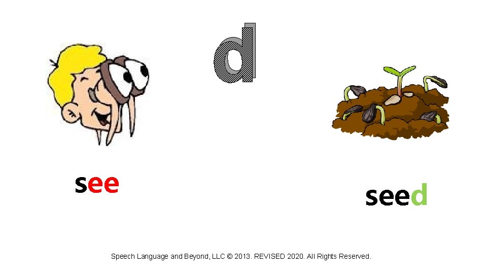 d seed Speech Language and Beyond, LLC © 2013. REVISED 2020. All Rights Reserved.
