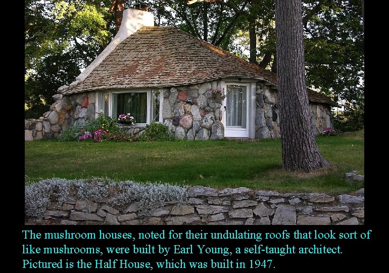 The mushroom houses, noted for their undulating roofs that look sort of like mushrooms,