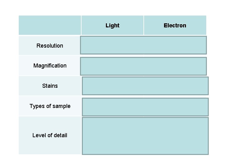 Light Electron Resolution 200 nm 0. 2 nm Magnification X 1500 TEM x 500