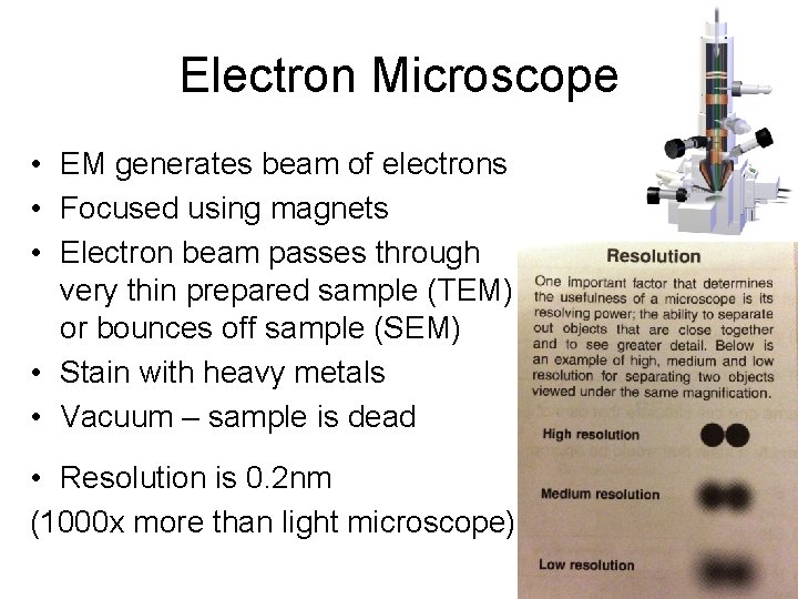 Electron Microscope • EM generates beam of electrons • Focused using magnets • Electron