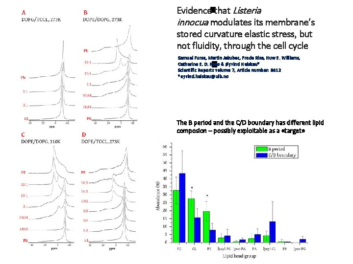 Evidence that Listeria innocua modulates its membrane’s stored curvature elastic stress, but not fluidity,