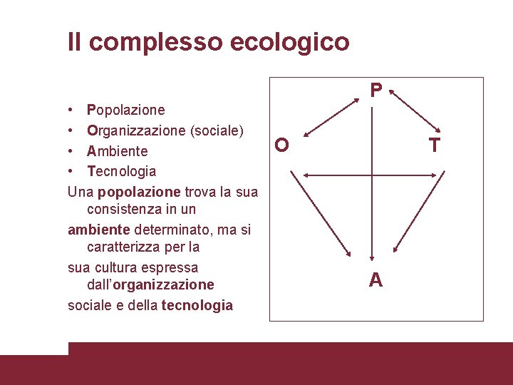 Il complesso ecologico P • Popolazione • Organizzazione (sociale) • Ambiente • Tecnologia Una
