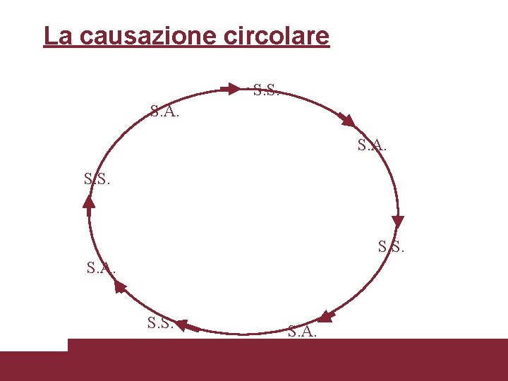 La causazione circolare S. S. S. A. 