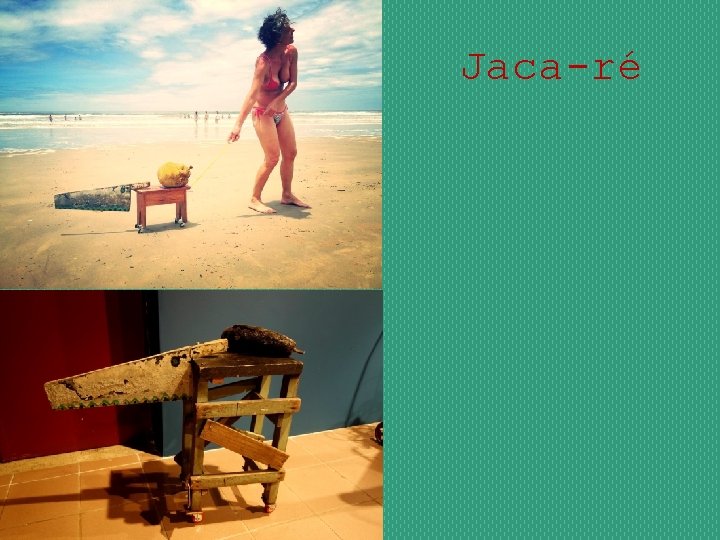 Jaca-ré 