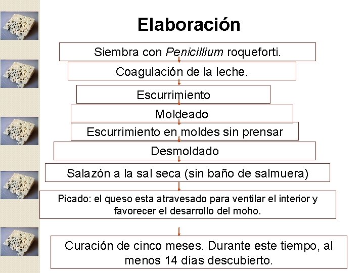 Elaboración Siembra con Penicillium roqueforti. Coagulación de la leche. Escurrimiento Moldeado Escurrimiento en moldes