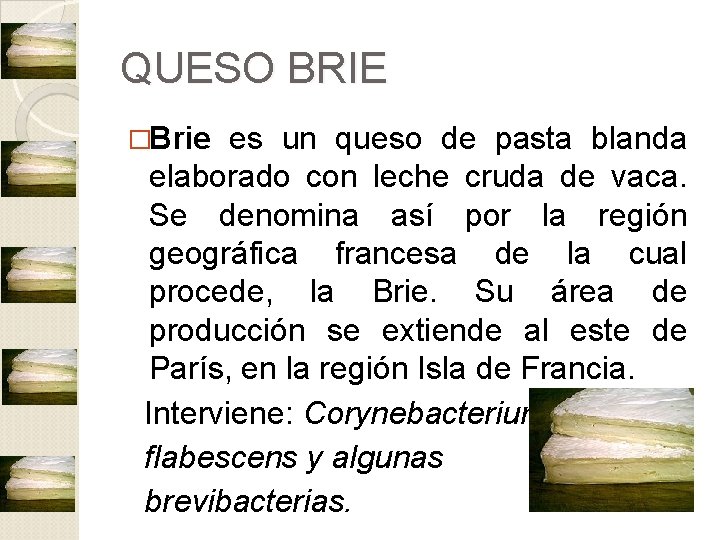 QUESO BRIE �Brie es un queso de pasta blanda elaborado con leche cruda de