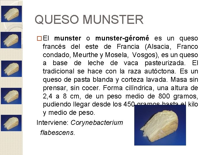 QUESO MUNSTER � El munster o munster-géromé es un queso francés del este de