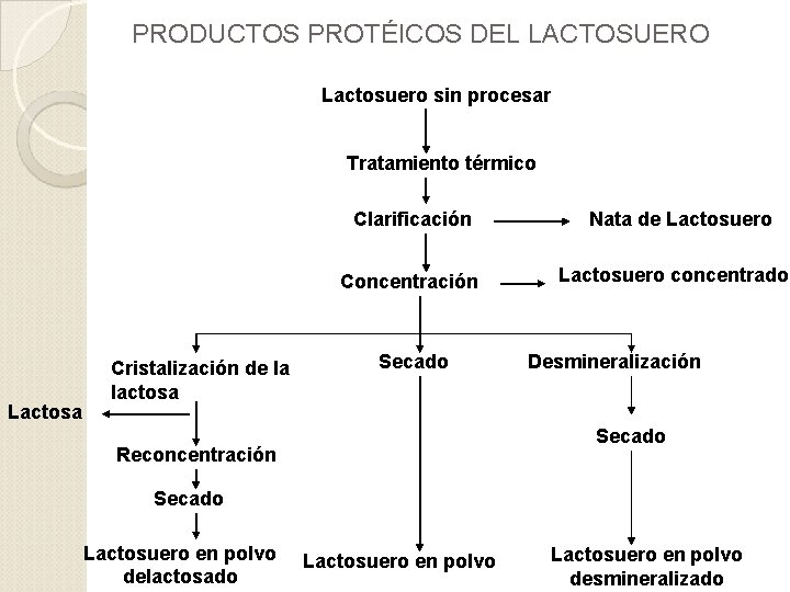 PRODUCTOS PROTÉICOS DEL LACTOSUERO Lactosuero sin procesar Tratamiento térmico Clarificación Concentración Lactosa Cristalización de
