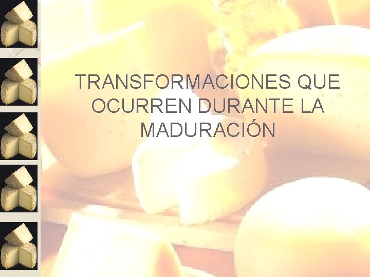 TRANSFORMACIONES QUE OCURREN DURANTE LA MADURACIÓN 