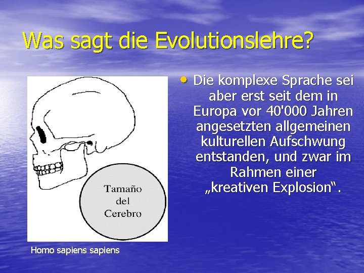 Was sagt die Evolutionslehre? • Die komplexe Sprache sei aber erst seit dem in