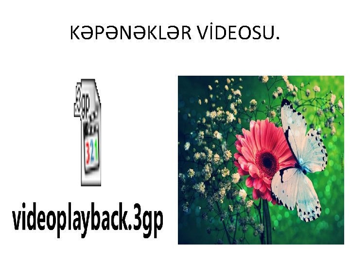 KƏPƏNƏKLƏR VİDEOSU. 