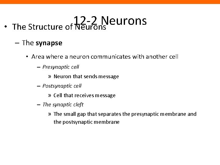  • 12 -2 Neurons The Structure of Neurons – The synapse • Area