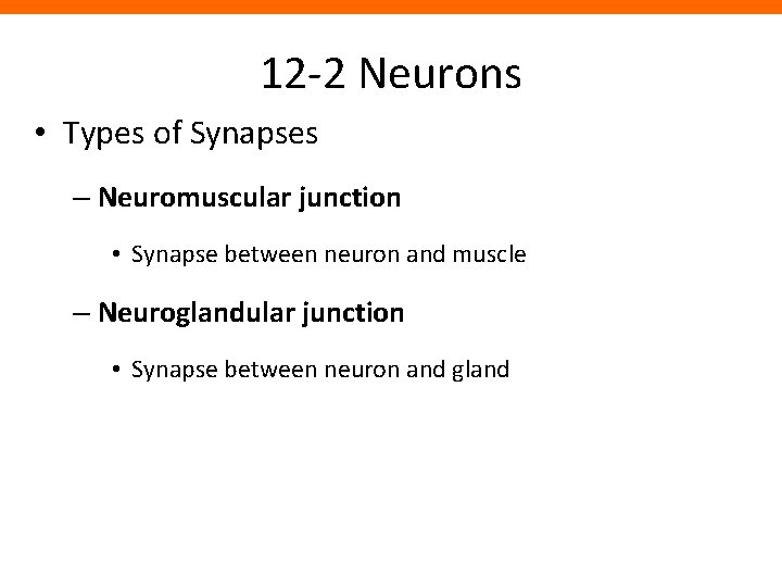12 -2 Neurons • Types of Synapses – Neuromuscular junction • Synapse between neuron