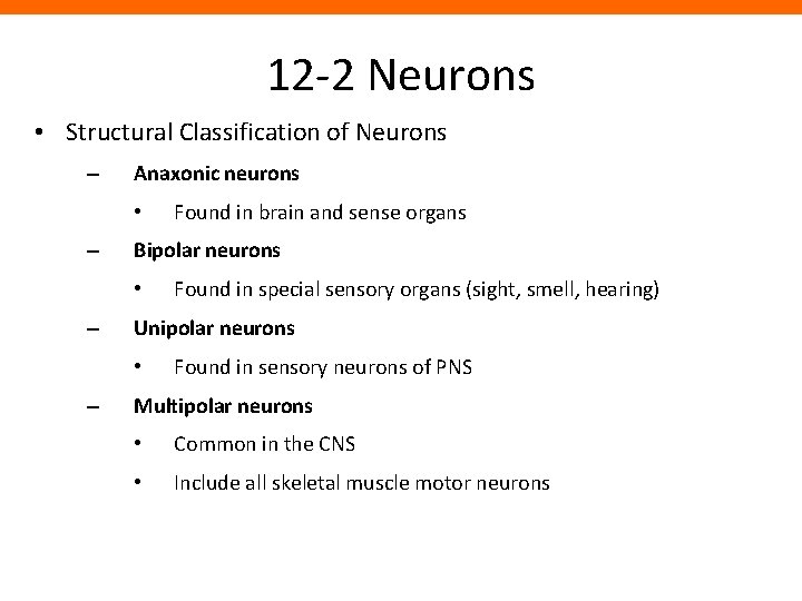 12 -2 Neurons • Structural Classification of Neurons – Anaxonic neurons • – Bipolar