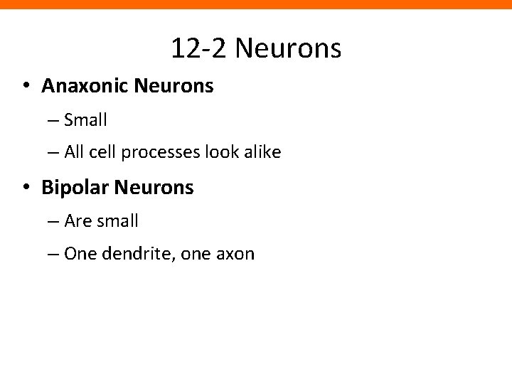 12 -2 Neurons • Anaxonic Neurons – Small – All cell processes look alike