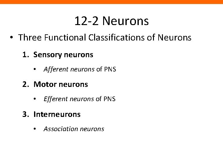12 -2 Neurons • Three Functional Classifications of Neurons 1. Sensory neurons • Afferent
