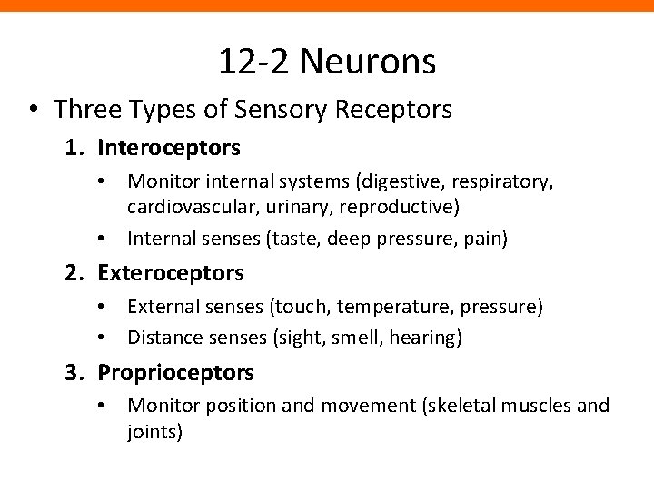12 -2 Neurons • Three Types of Sensory Receptors 1. Interoceptors • Monitor internal