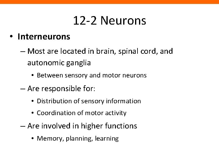 12 -2 Neurons • Interneurons – Most are located in brain, spinal cord, and