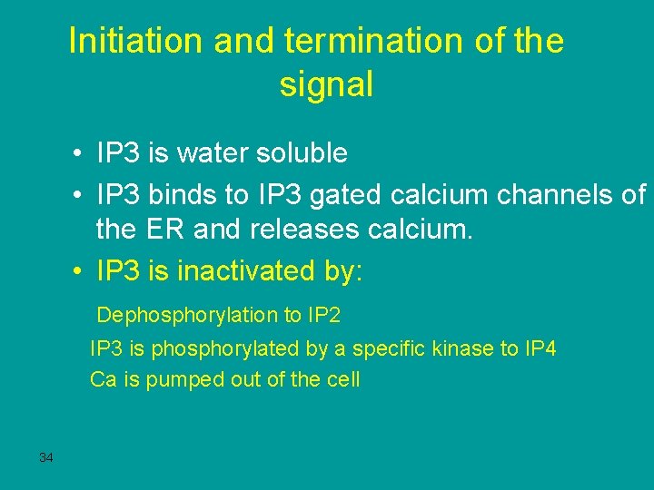 Initiation and termination of the signal • IP 3 is water soluble • IP