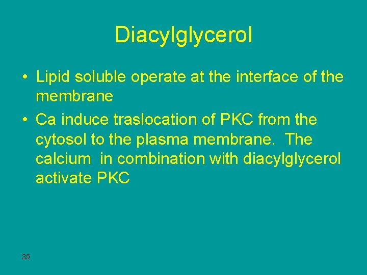 Diacylglycerol • Lipid soluble operate at the interface of the membrane • Ca induce