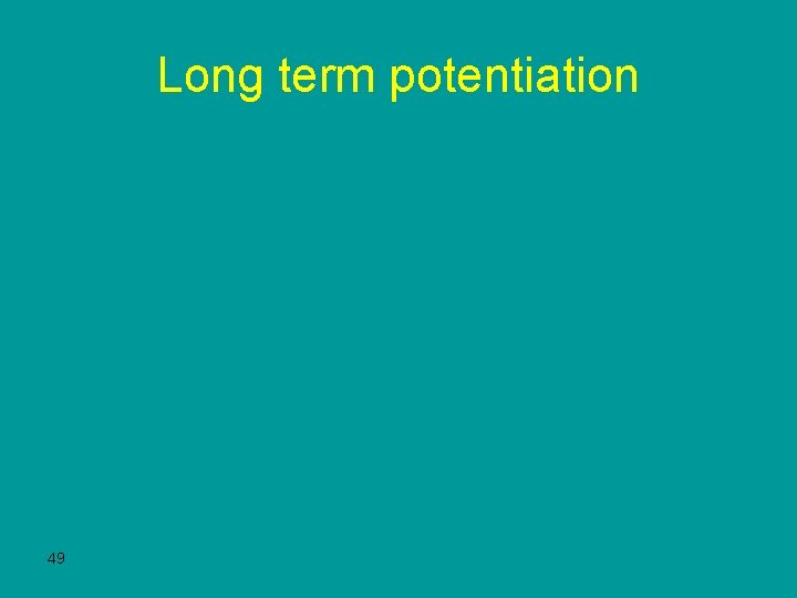 Long term potentiation 49 