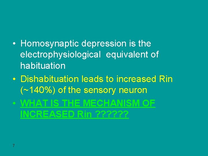  • Homosynaptic depression is the electrophysiological equivalent of habituation • Dishabituation leads to