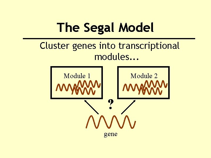 The Segal Model Cluster genes into transcriptional modules. . . Module 1 Module 2