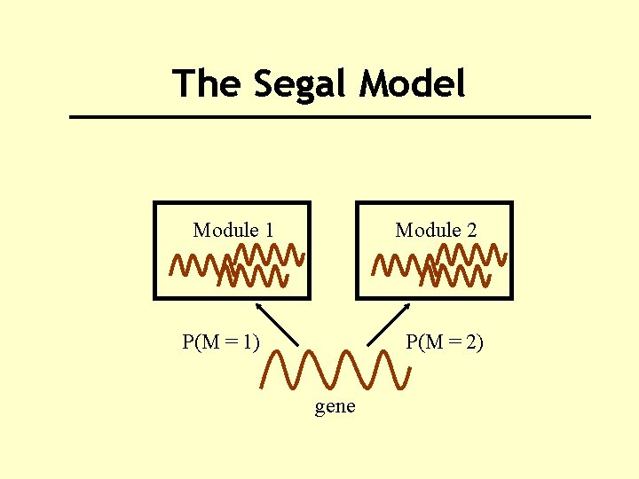 The Segal Model Module 1 Module 2 P(M = 1) P(M = 2) gene