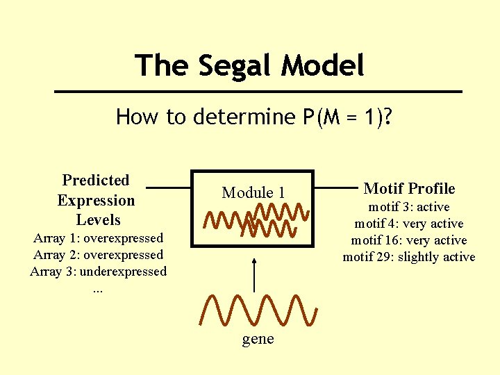 The Segal Model How to determine P(M = 1)? Predicted Expression Levels Module 1