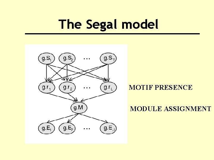 The Segal model MOTIF PRESENCE MODULE ASSIGNMENT 