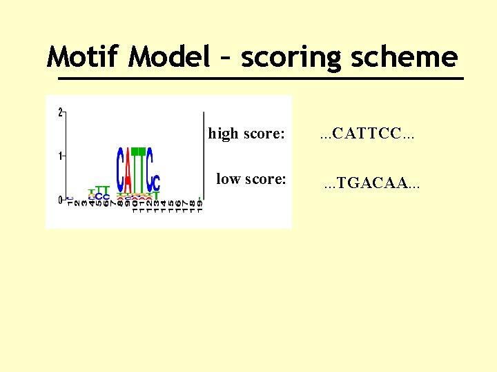 Motif Model – scoring scheme high score: low score: . . . CATTCC. .