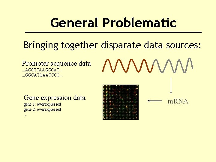 General Problematic Bringing together disparate data sources: Promoter sequence data. . . ACGTTAAGCCAT. .