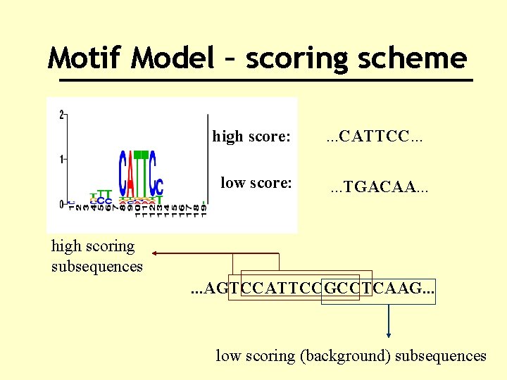 Motif Model – scoring scheme high score: low score: . . . CATTCC. .