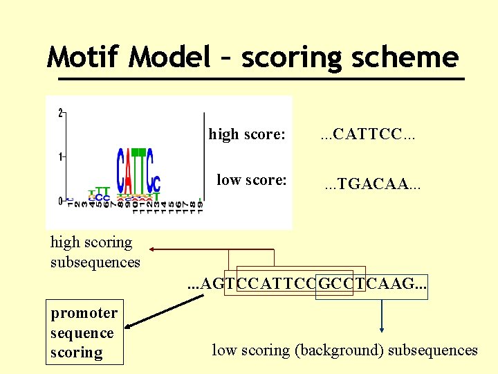 Motif Model – scoring scheme high score: low score: . . . CATTCC. .
