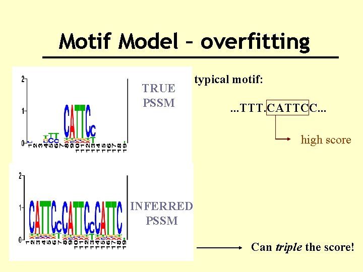 Motif Model – overfitting TRUE PSSM typical motif: . . . TTT. CATTCC. .