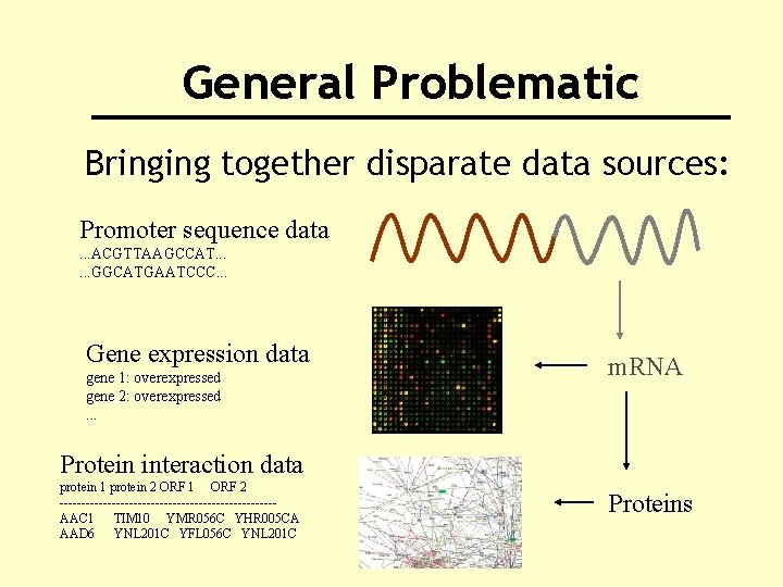General Problematic Bringing together disparate data sources: Promoter sequence data. . . ACGTTAAGCCAT. .