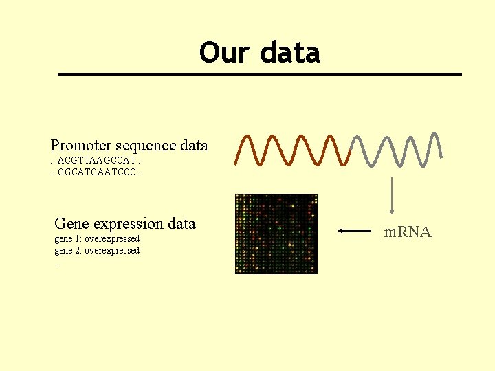 Our data Promoter sequence data. . . ACGTTAAGCCAT. . . GGCATGAATCCC. . . Gene