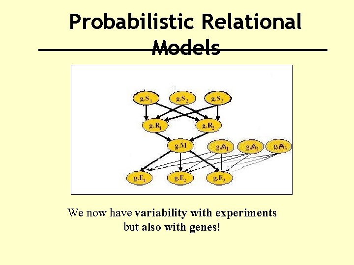 Probabilistic Relational Models We now have variability with experiments but also with genes! 