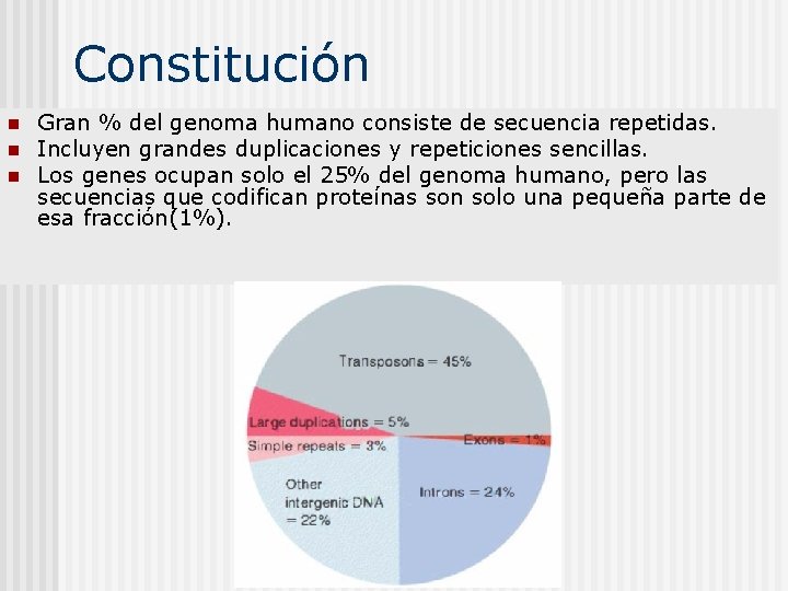 Constitución n Gran % del genoma humano consiste de secuencia repetidas. Incluyen grandes duplicaciones