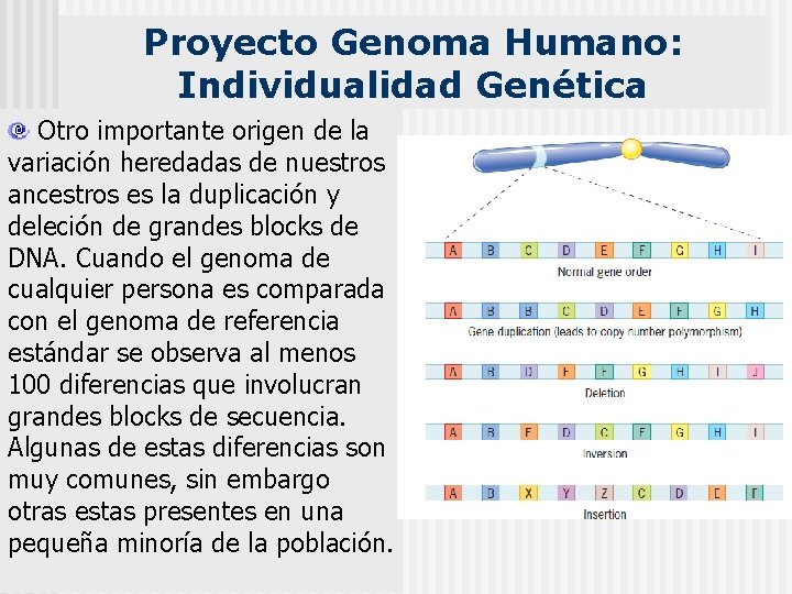 Proyecto Genoma Humano: Individualidad Genética Otro importante origen de la variación heredadas de nuestros