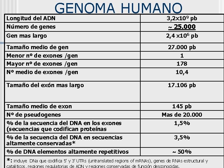 GENOMA HUMANO Longitud del ADN Número de genes 3, 2 x 109 pb Gen