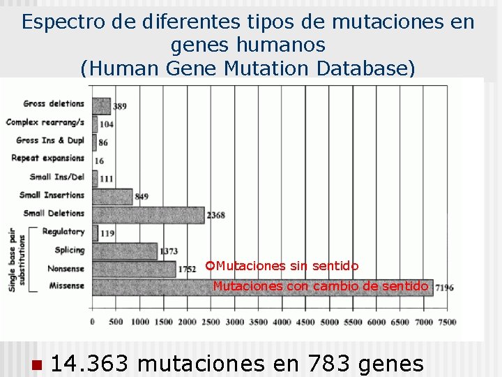 Espectro de diferentes tipos de mutaciones en genes humanos (Human Gene Mutation Database) Mutaciones