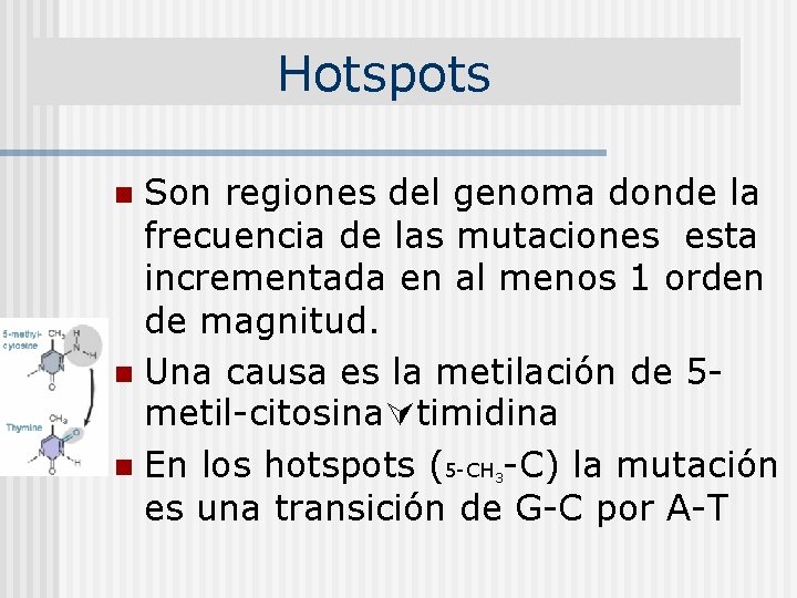 Hotspots Son regiones del genoma donde la frecuencia de las mutaciones esta incrementada en