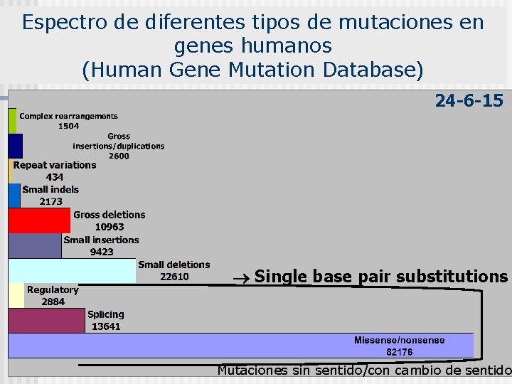 Espectro de diferentes tipos de mutaciones en genes humanos (Human Gene Mutation Database) 24