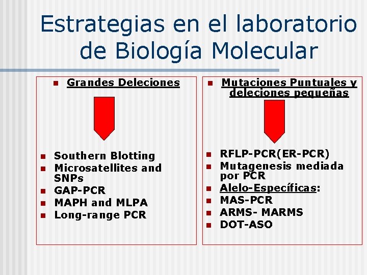 Estrategias en el laboratorio de Biología Molecular n n n Grandes Deleciones Southern Blotting