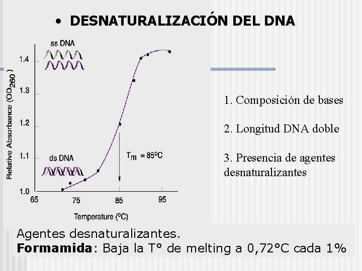  • DESNATURALIZACIÓN DEL DNA 1. Composición de bases 2. Longitud DNA doble 3.