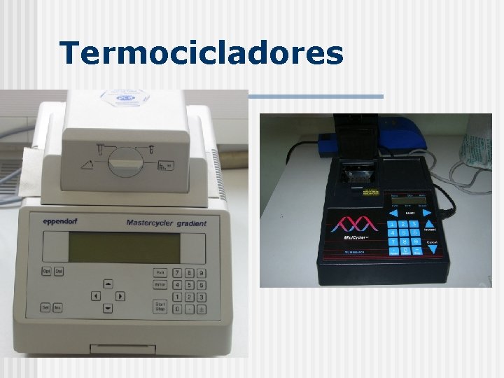 Termocicladores 