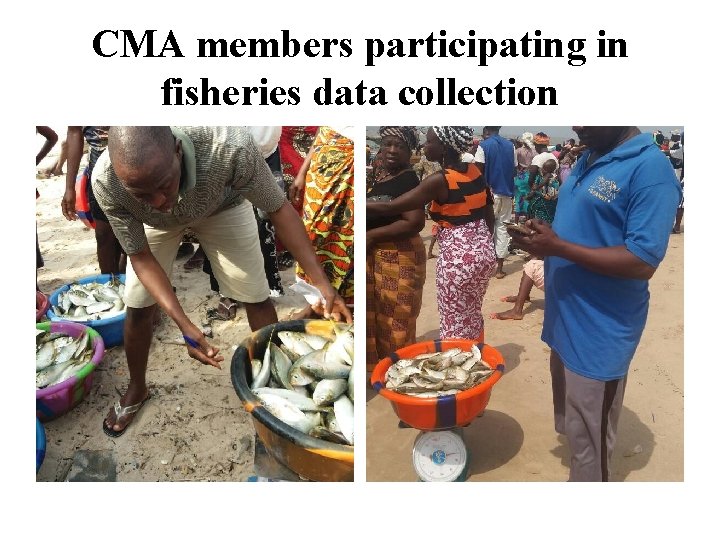 CMA members participating in fisheries data collection 