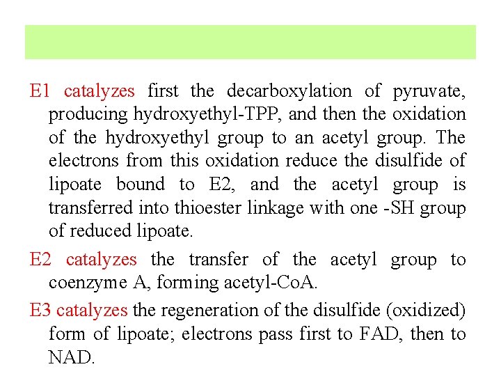 E 1 catalyzes first the decarboxylation of pyruvate, producing hydroxyethyl-TPP, and then the oxidation