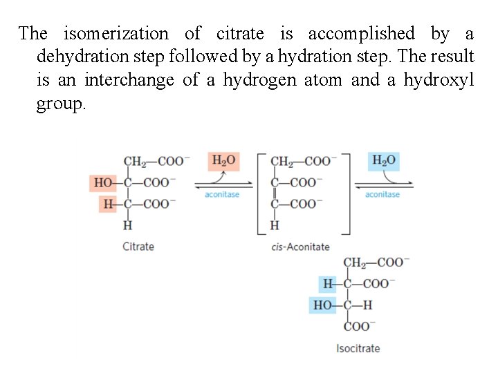 The isomerization of citrate is accomplished by a dehydration step followed by a hydration